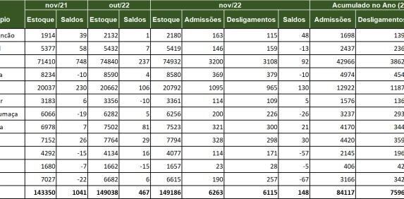Regi&atilde;o Carbon&iacute;fera acumula mais de 8 mil novos empregos formais no ano