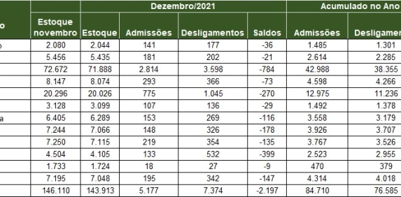 Regi&atilde;o fecha o ano com mais de 8,1 mil empregos adicionados