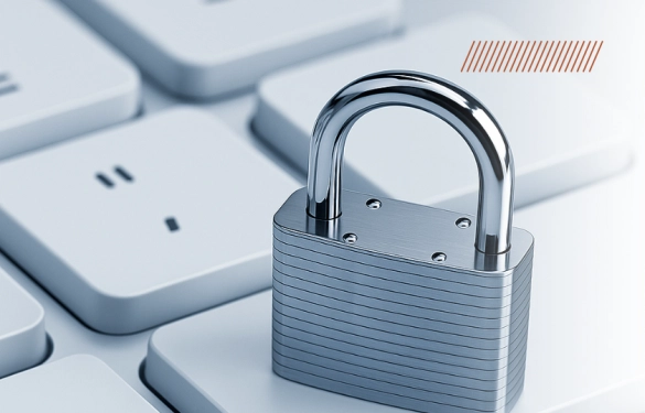 Política de Privacidade para Empresas de Tecnologia: Guia Prático Para Criar a Sua com LGPD