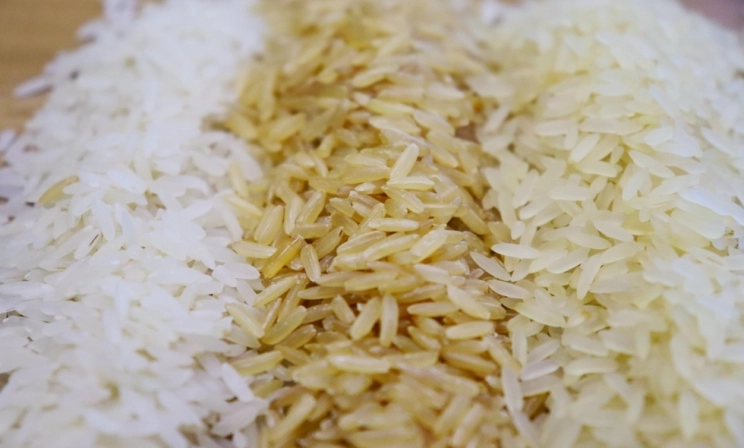 Para SindArroz-SC, leilão causará danos irreparáveis às indústrias de arroz do Brasil