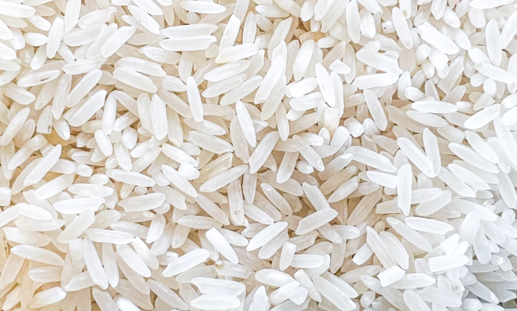 Crise no setor orizícola: medidas do Governo Federal são insuficientes diante cenário crítico enfrentado pelas indústrias catarinenses