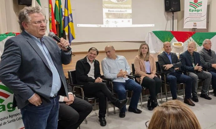 Novidade na produção: SindArroz-SC prestigia lançamento de novo cultivar do grão de arroz