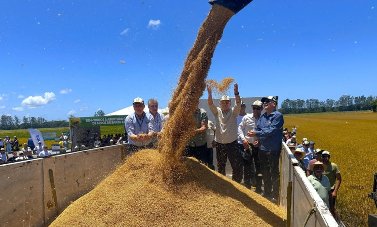 Mesmo diante da crise, setor oriz&iacute;cola catarinense d&aacute; in&iacute;cio &agrave; colheita unido em busca de melhorias