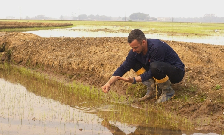 Safra 24/25: com expectativas positivas, arroz catarinense começa a ser plantado