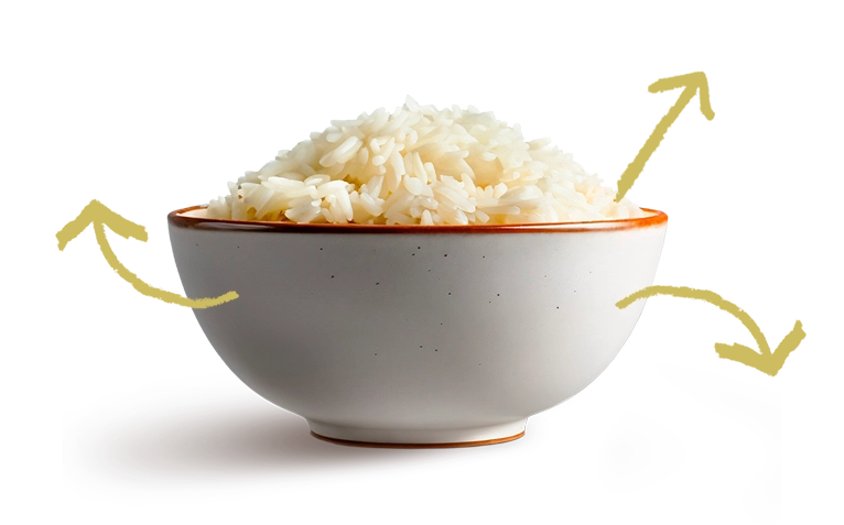Benefícios do arroz