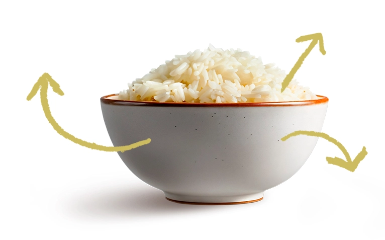 Benefícios do arroz
