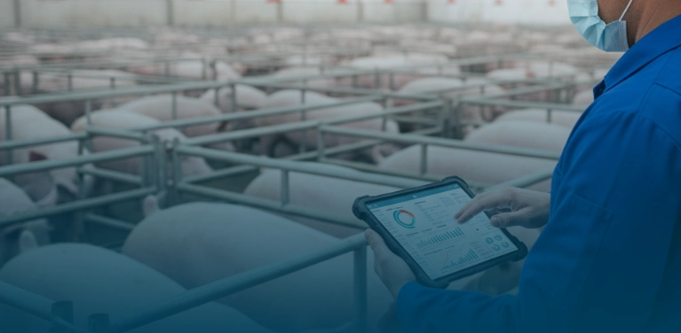 Biosseguridade na suinocultura: Como a tecnologia fortalece a preven&ccedil;&atilde;o de riscos sanit&aacute;rios e transforma a gest&atilde;o da produ&ccedil;&atilde;o