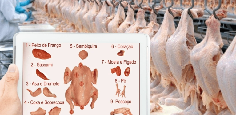 Do campo à mesa: qualidade da carne é uma preocupação para produtores e consumidores
