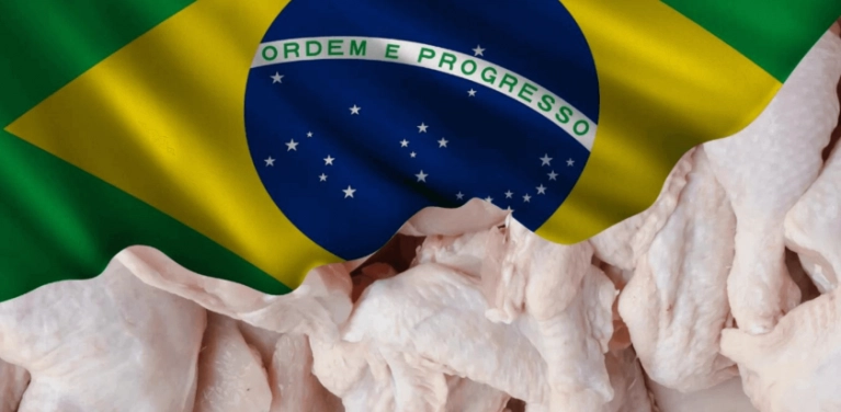 Celebração da Liderança Brasileira nas Exportações de Carne de Frango