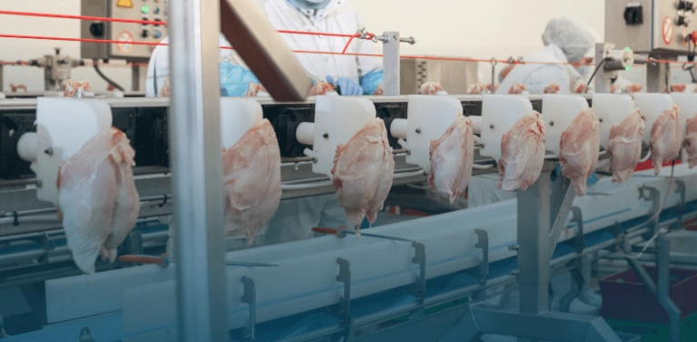 Rastreabilidade na produção é garantia na produção e qualidade.
