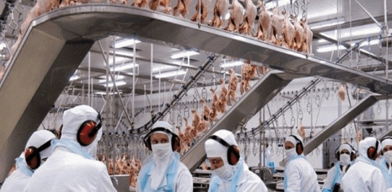 Rendimentos e Perdas | Módulo customizado fez Agrosul dar adeus às planilhas