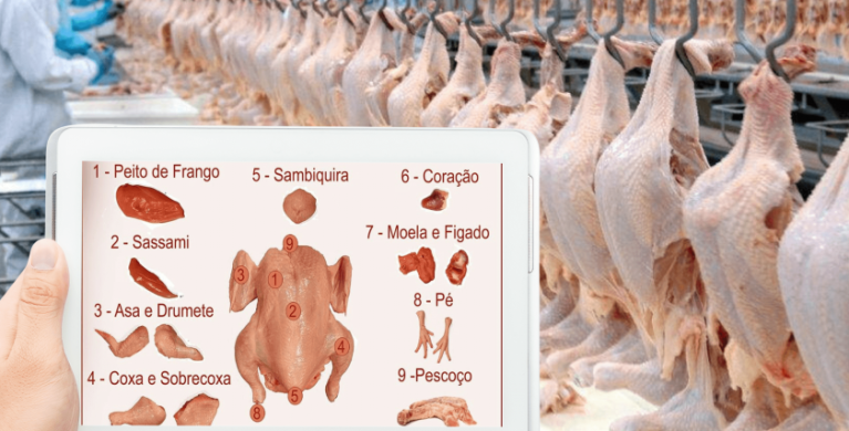 Do campo à mesa: qualidade da carne é uma preocupação para produtores e consumidores