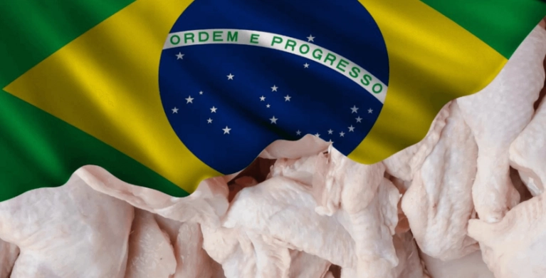 Celebração da Liderança Brasileira nas Exportações de Carne de Frango