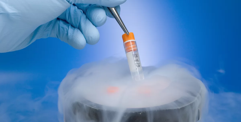 Como funciona a doação de Esperma, Óvulos ou Embriões