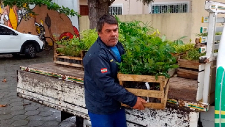 Semana do meio ambiente é marcada por entrega de mudas na Cerpalo