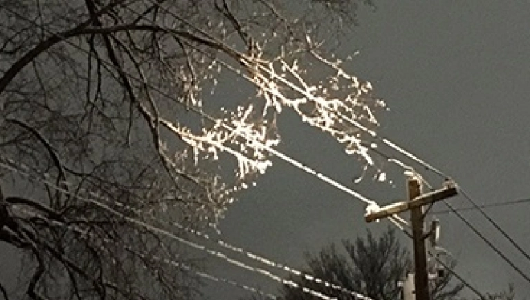 Queda de árvore causou curto-circuito na rede da Cerpalo