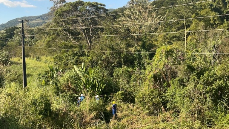 Cerpalo realiza poda de árvores para prevenir riscos na rede elétrica