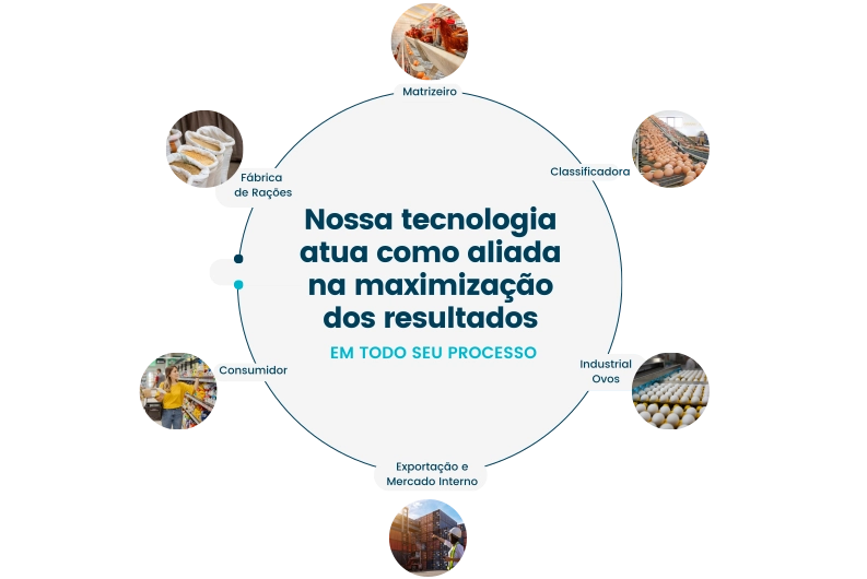 Classificação de Ovos