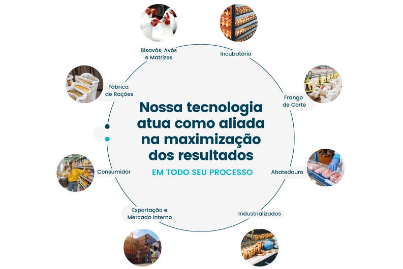 Gestão da Qualidade