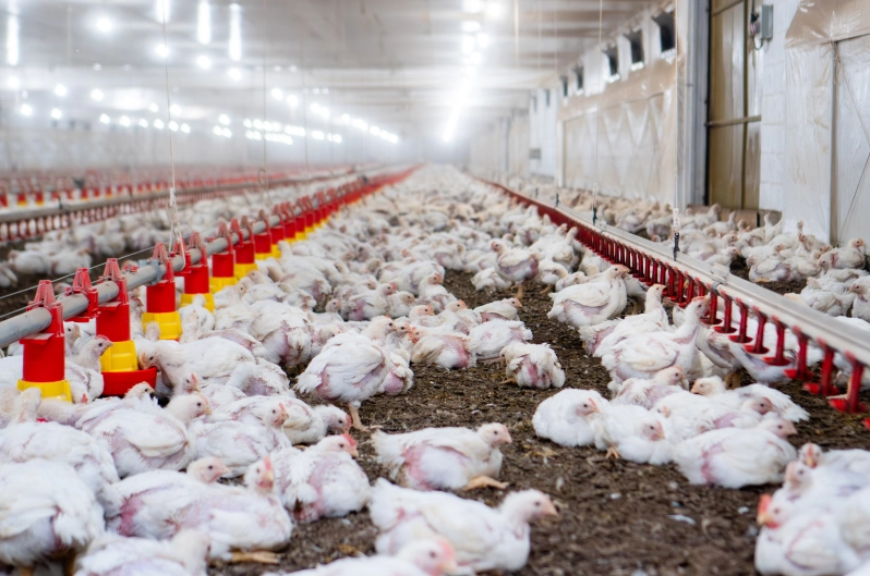 Control total de sus granjas