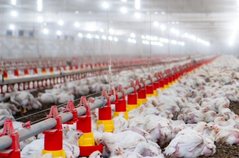 Controle total das suas granjas