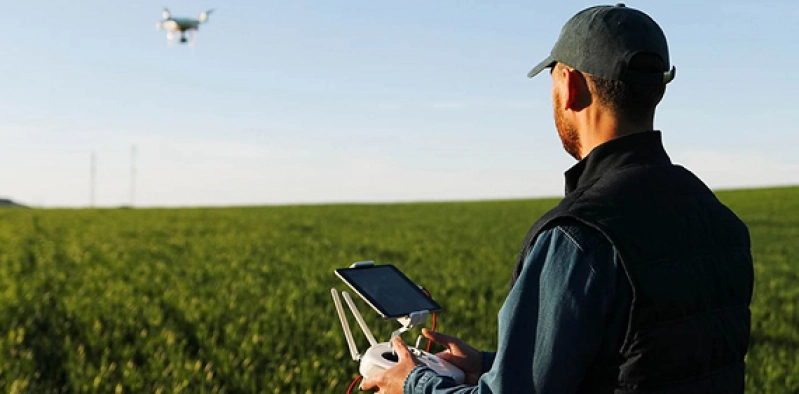 Laringotraqueíte: uma nova ameaça para a pecuária