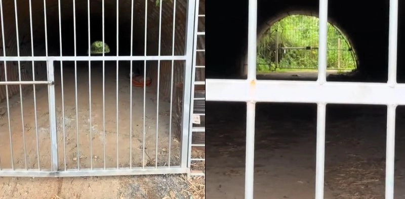 V&iacute;deo de &ldquo;t&uacute;nel misterioso&rdquo; sob avenida em Joinville viraliza e intriga moradores