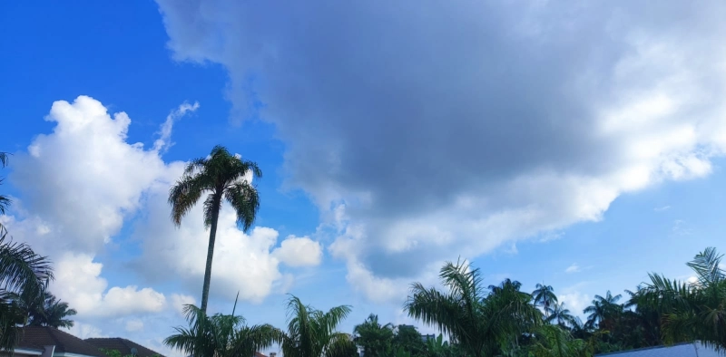 Veja como fica a previs&atilde;o do tempo em Joinville nesta segunda-feira