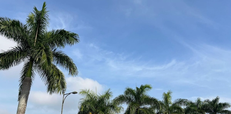 Saiba como fica a previs&atilde;o do tempo em Joinville nesta quarta-feira