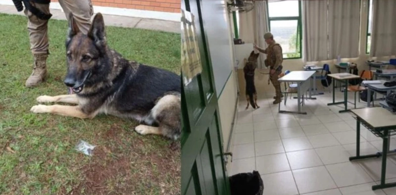 Maconha no banheiro: a&ccedil;&atilde;o preventiva em escola de Tr&ecirc;s Barras, no Norte de SC, resulta em apreens&atilde;o de droga