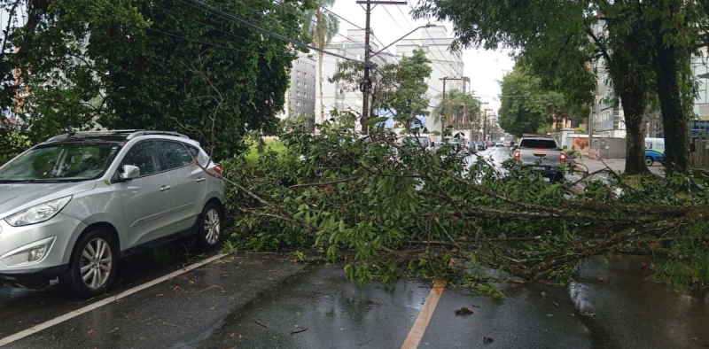 Temporal provoca destelhamentos, queda de &aacute;rvores e interdi&ccedil;&otilde;es de casas em Joinville