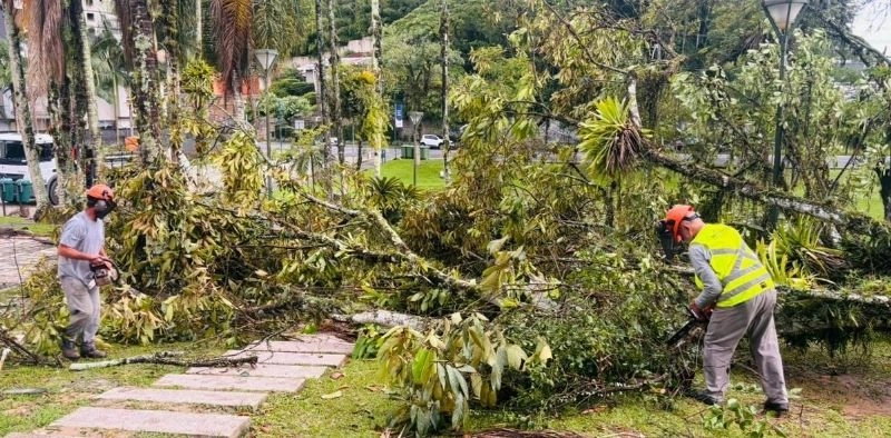 Rajadas de vento chegam a 64 km/h e causam quedas de &aacute;rvores em Joinville