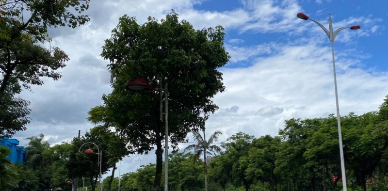 Saiba como fica a previs&atilde;o do tempo em Joinville neste s&aacute;bado