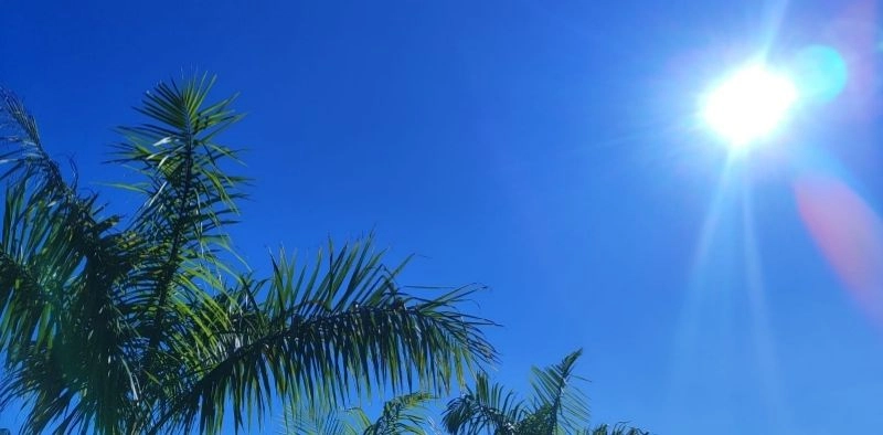 Confira a previs&atilde;o do tempo para esta quinta-feira em Joinville