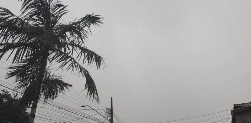 Previs&atilde;o do tempo: Joinville come&ccedil;a a quinta-feira com chuva