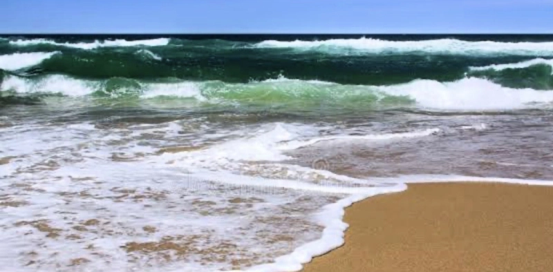 A beleza silenciosa da rotina