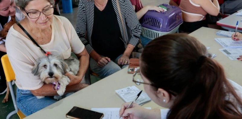 Bairro de Joinville recebe mutir&atilde;o gratuito de vacina&ccedil;&atilde;o e microchipagem para pets; saiba quando