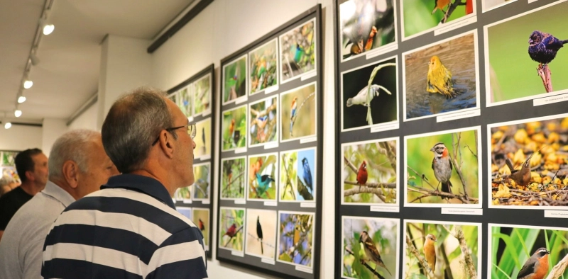 Mundo das aves marca exposi&ccedil;&atilde;o do Cultura Acic