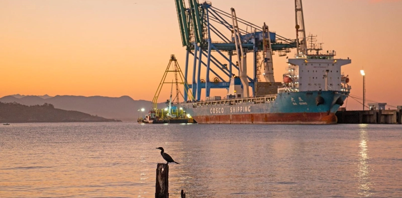 Regi&atilde;o Carbon&iacute;fera tem o melhor semestre dos &uacute;ltimos tr&ecirc;s anos