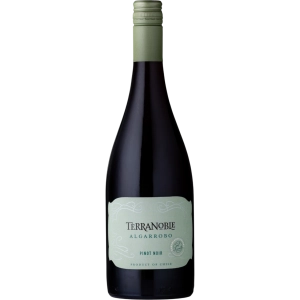 Vinho Terranoble Pinot Noir Algarrobo