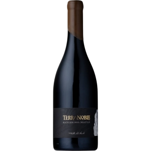 Vinho Terranoble Raices del Maule