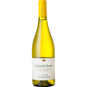 Vinho Umani Ronchi Verdicchio Casal Di Serra