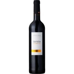 Vinho Domingos Alves de Sousa Gaivosa Primeiros Anos