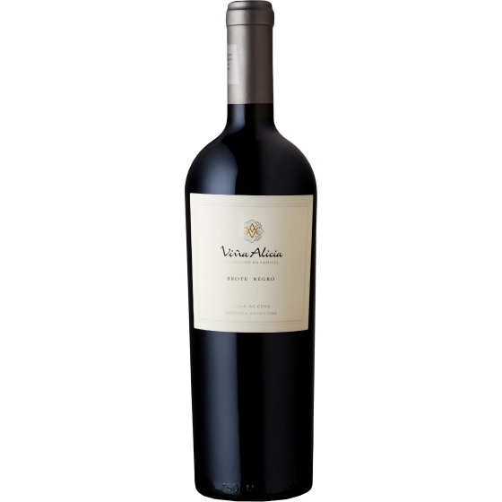 Vinho Viña Alicia Malbec Brote Negro