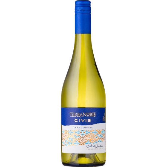 Vinho Terranoble Chardonnay Civis